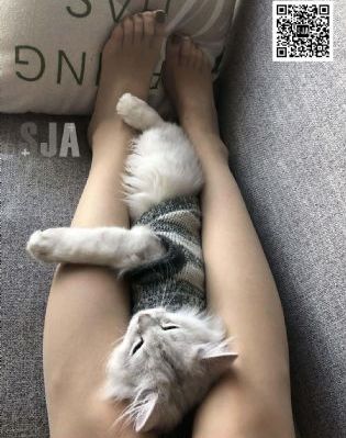 高清电影院_BD高清电影在线
